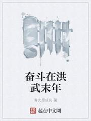 奋斗在洪武末年 奋斗在洪武末年