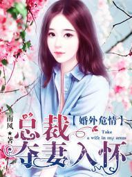 婚外危情:总裁夺妻入怀 婚外危情:总裁夺妻入怀