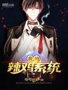 我的辣鸡系统 我的辣鸡系统