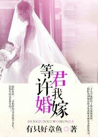 等君许我婚嫁 等君许我婚嫁