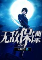 无敌保镖 无敌保镖