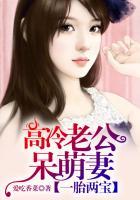 一胎两宝:高冷老公呆萌妻 一胎两宝:高冷老公呆萌妻